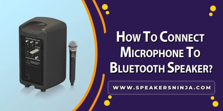How To Connect Microphone To Bluetooth Speaker