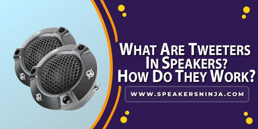 What Are Tweeters In Speakers How Do They Work 2023 Speakers Ninja